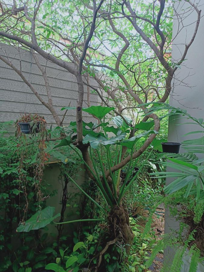 Sri Ngachang Chiang Mai Buitenkant foto